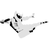 Kung Fu Stig