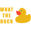 what the duck