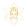 Buddha Lotus