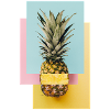 Bunte Ananas / Geschenk Idee