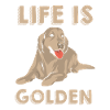 Chien Golden Retriever