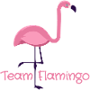 Team Flamingo