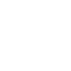 AMERICAN GANGSTER (w)