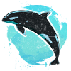 Orque tueur de baleine