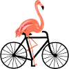 Flamingo avec vélo