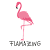 Flamingo flamingo
