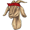 Ziege mit Bandana