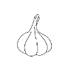 garlic