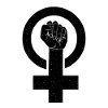 Feminist feminism feminist