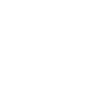 Feminist feminism feminist