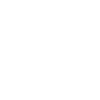 Féminisme féministe féministe