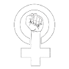 Feminist feminism feminist