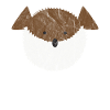 Animaux mignons