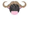 Cute animals bull