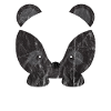 Animaux mignons