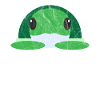 Cute animals turtle