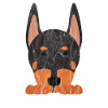 Cute animal dog