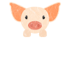 Cochon animaux mignons