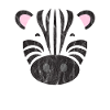 Cute animal zebra