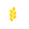 Blé