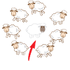 Black sheep
