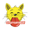 Chat félin
