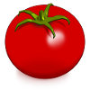 Tomate