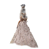 Erdmännchen_Hügel_1