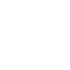 master