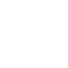 Brauer Power