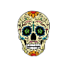 Mexican skull