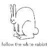 follow the white rabbit