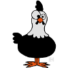 Chicken - Hen