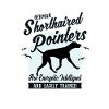 Pointer Hunderasse