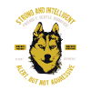 Siberian Husky