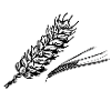 Getreide