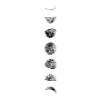 lune