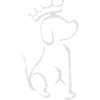 hund mit krone