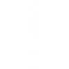 ASCE white