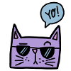 Cool CAT