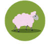 Cute sheep cartoon