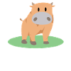 Nice cow standing