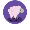 Nice sheep