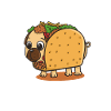 Taco Pug