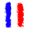 French flag