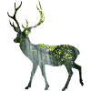 Chasse aux chasseurs de cerfs