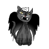 Die schwarze Katze