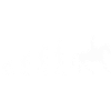 Reiten Evolution | Pferd | Reiten