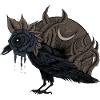 Lost raven