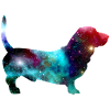 Dog universe